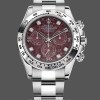 Men's Rolex Cosmograph Daytona White Gold Rubellite Dial 116509 40MM Red Dial
