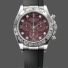 Men's Rolex Cosmograph Daytona White Gold Rubellite Dial 116509 Rubber Strap Red Dial