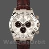 Men's Rolex Daytona 40mm Men's-116519-Panda Dial-Chocolate Leather Strap White