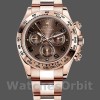 Men's Rolex Daytona-m116505, 40mm, Everose Gold, Brown Dial, Men’s Brown